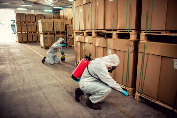 Best Pest Control Near Me in Parowan, UT