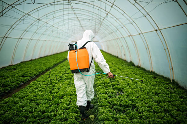 Best Mosquito Control Services  in Parowan, UT