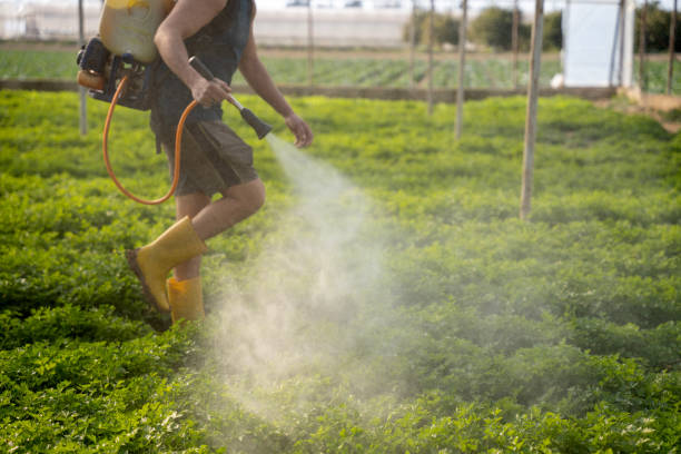 Best Emergency Pest Control  in Parowan, UT