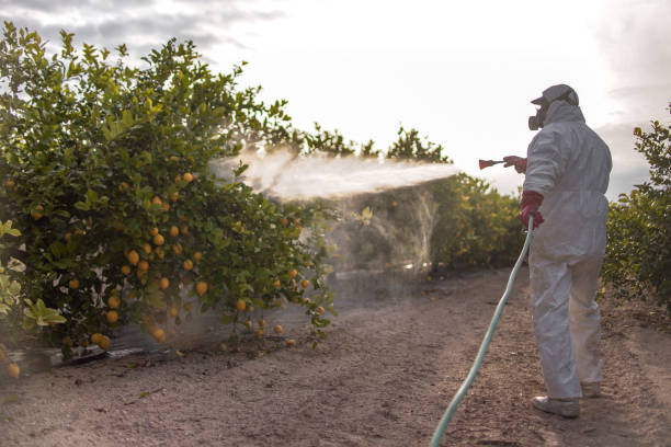 Best Insect Control  in Parowan, UT