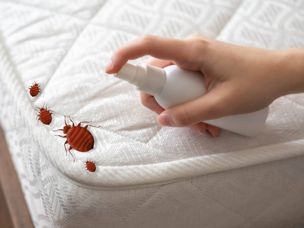 Best Exterminator Services  in Parowan, UT